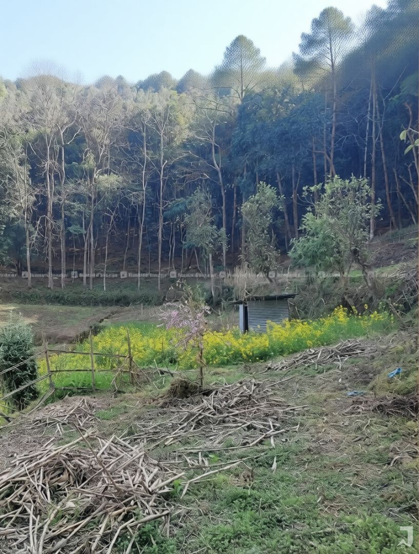 15 anna land for sale 