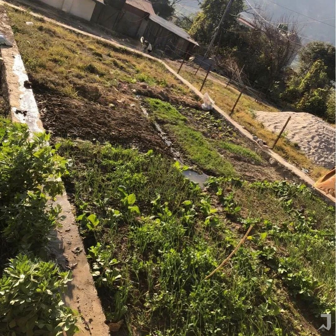 Land For Sell Per Anna 25 Lakh Per Aana