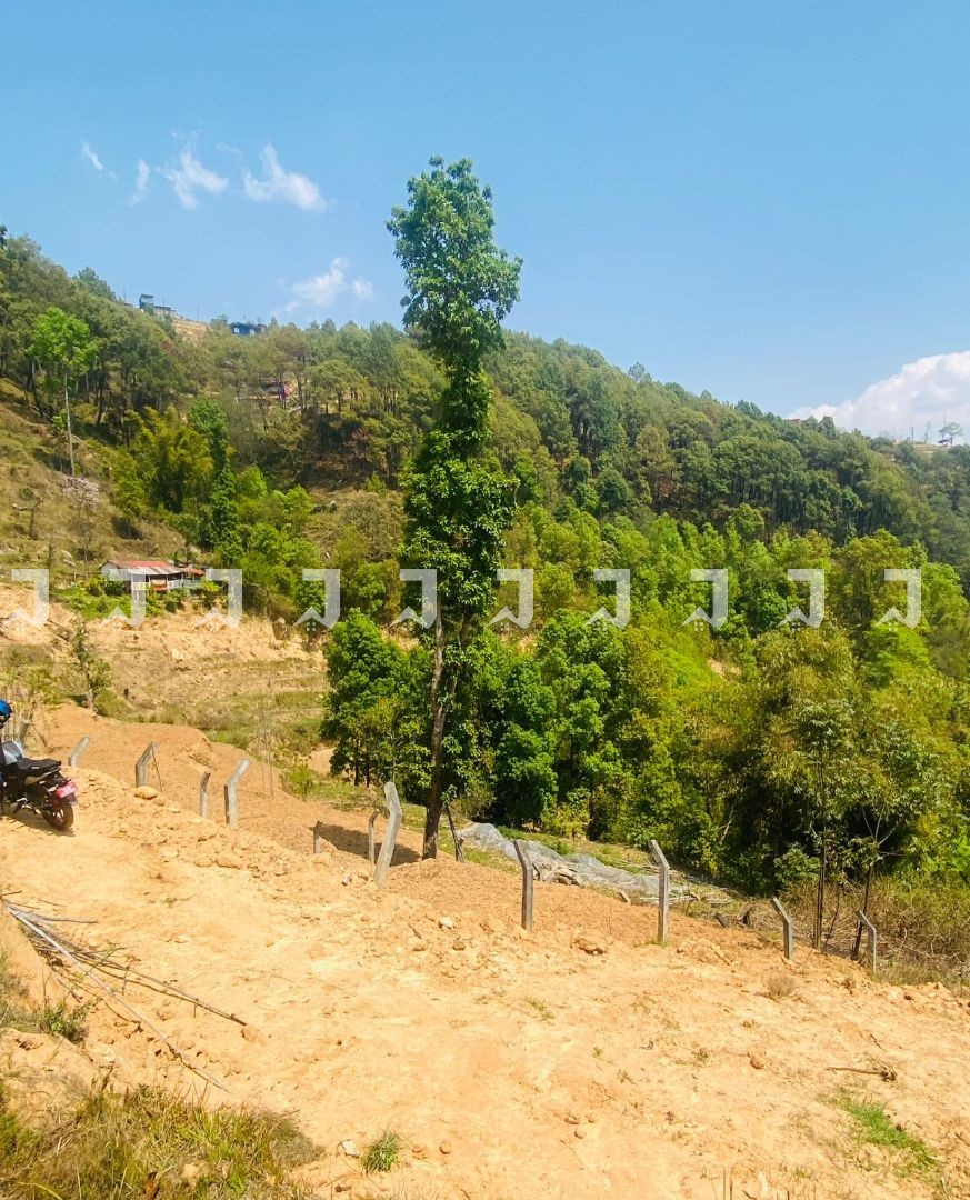 Best Land For Sale At Ramkot