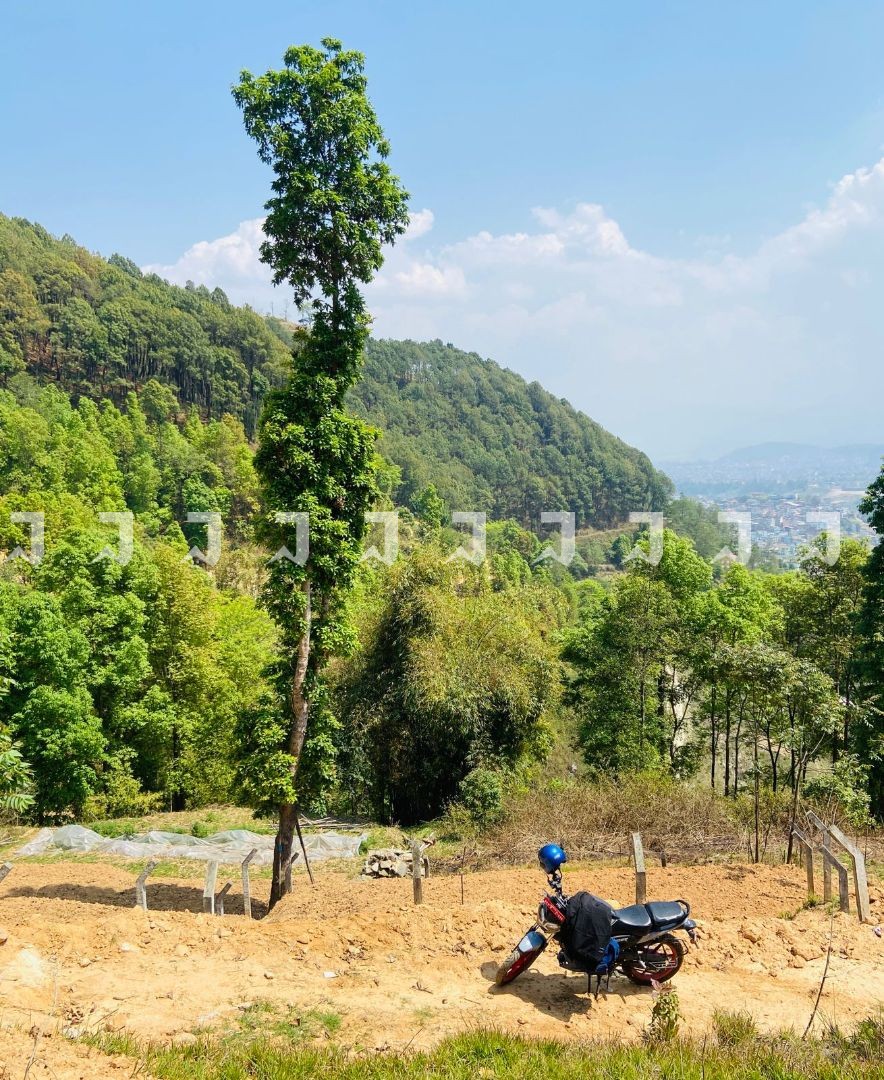 Best Land For Sale At Ramkot